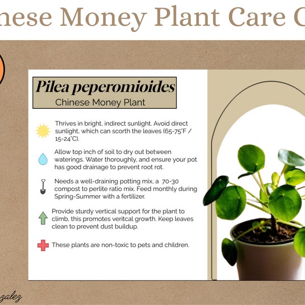 Chinese geld plantenverzorgingsgids afdrukbaar - direct digitaal downloaden, verzorgingsgids voor kamerplanten.