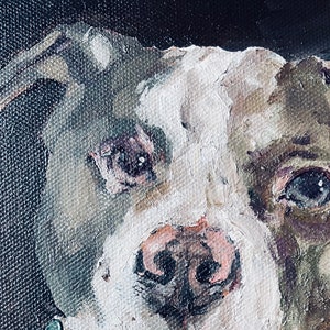 Personalised pet oil painting commission on canvas