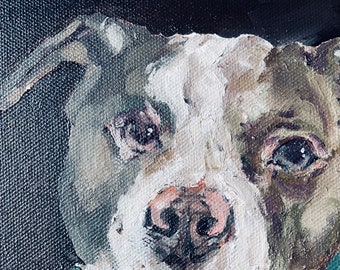 Personalised pet oil painting commission on canvas