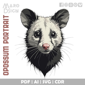 Portrait d'opossum | Art vectoriel de haute qualité pour les amoureux des animaux, parfait pour les projets de bricolage et les graphistes