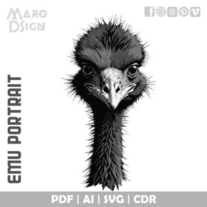 Emu Portrait | Editable Vector Art of Australia’s Iconic Flightless Bird for Nature Lovers, Graphic Design, Home Decor, Creative Projects