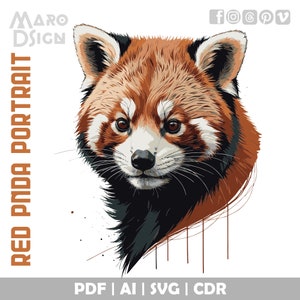Retrato de panda rojo / Ilustración vectorial editable del adorable mamífero amante del bambú para diseños creativos y proyectos de bricolaje