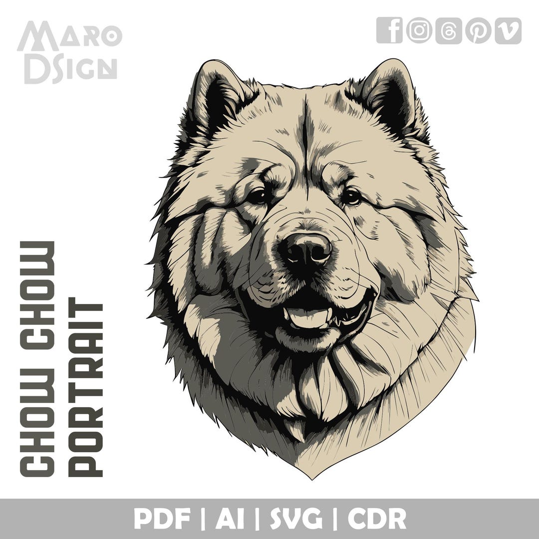 Chow Chow Portrait Detailed Vector Clipart of Majestic, Loyal