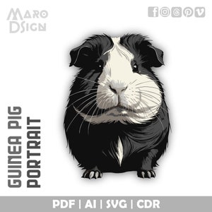 Guinea Pig Portrait | Customizable Vector Illustration for Cute, Creative, and Fun Graphic Design Projects