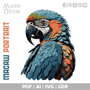 Macaw Portrait | Colorful, Editable Vector Illustration for Graphic Design, Perfect for Exotic Bird Lovers and Creative Projects