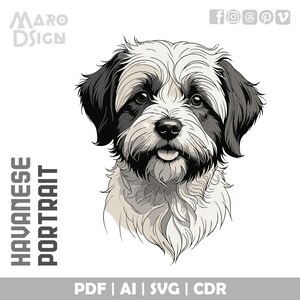 Havanese Portrait | Editable Vector Art for Pet Lovers, Ideal for Crafts, Printing, and Custom Design Projects