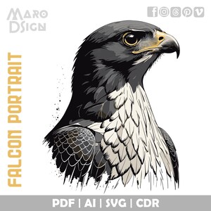 Falcon Portrait | Striking Vector Art of a Powerful Falcon, Ideal for Creative Design, Wildlife Art, and Ornithology Projects