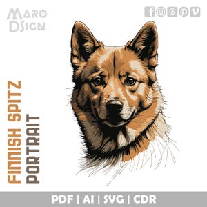 Finnish Spitz Portrait | Editable Vector for Creative Projects, Capturing the Bold Spirit of This Unique Dog Breed