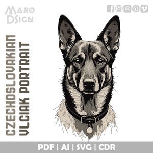 Tschechoslowakisches Vlciak Porträt | Kultige Wolfshund-Kunst für kreative Projekte, naturinspiriertes Grafikdesign und naturverbundenes Dekor