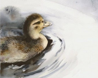 Duckling in the Water-Archival Print