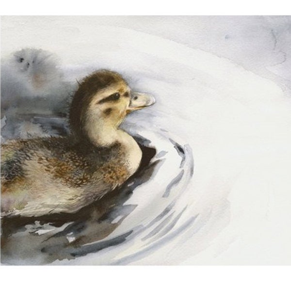 Duckling in the Water-Archival Print