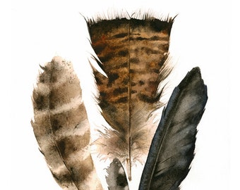 feathers painting, watercolor, art, wall, decor, earth tones, "Found Feathers" Large Archival Print