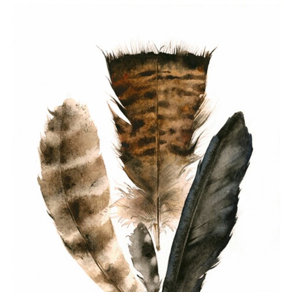 feathers painting, watercolor, art, wall, decor, earth tones, "Found Feathers" Large Archival Print
