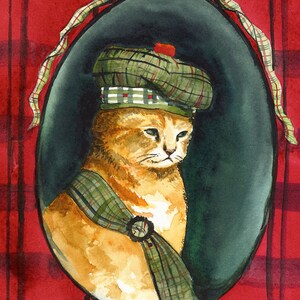 Angus- Scottish Kitten