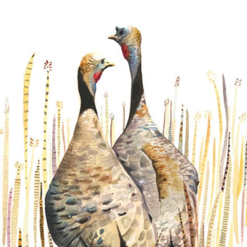 Wild Turkey Nature Art Bird Art Watercolor Print Wild Etsy