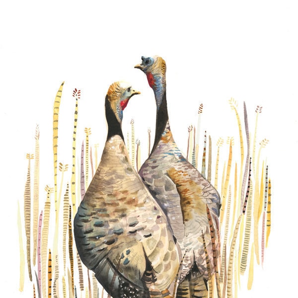 Wild Turkey, Nature Art, Bird Art, Watercolor Print- Wild Turkeys in the Straw