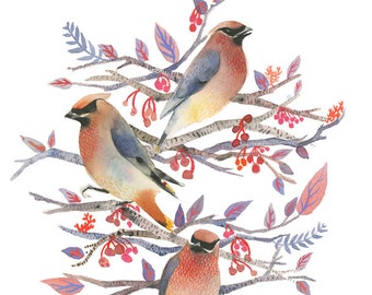 bird watercolor, bird painting, bird art print, Cedar Waxwings - Print of Original Watercolor