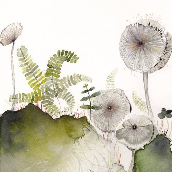 Maidenhair and Mushrooms Archival Print