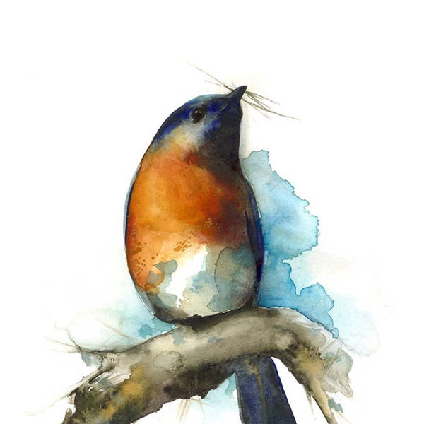 watercolor painting- bird art- bluebird art -"Sky"- Bluebird watercolor archival print of bluebird painting