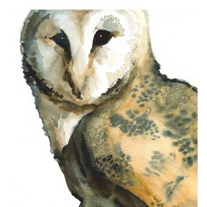 Barn Owl art- "Mice on My Mind" -print after original watercolor