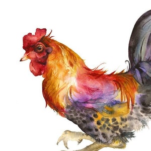 Rooster in Magenta and Gold- archival print