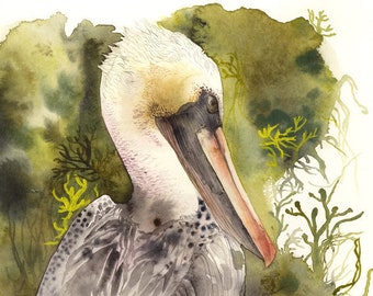 Brown Pelican Print, nature sea bird, pelican art, watercolor painting, print