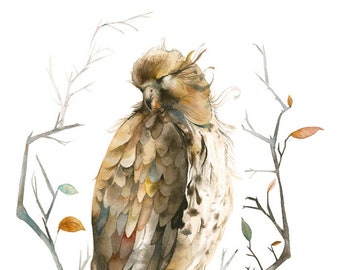 Red Tailed Hawk Large archival print