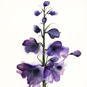 Delphinium botanical print, watercolor botanical, watercolor flowers, cottage chic image 1