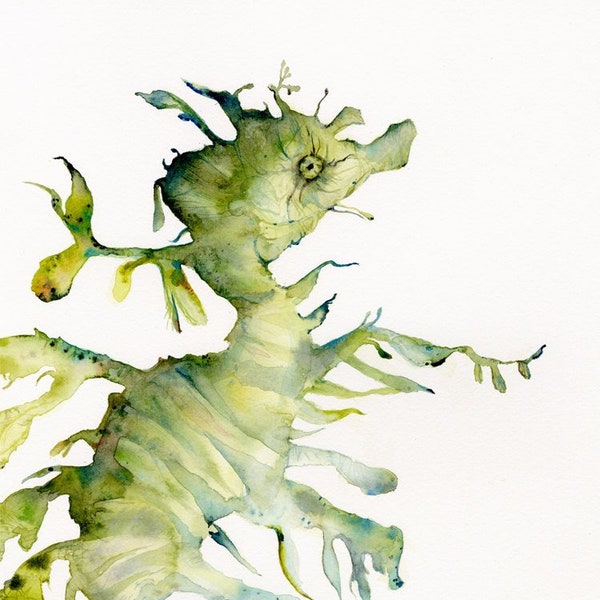 Leafy Sea Dragon - watercolor archival print