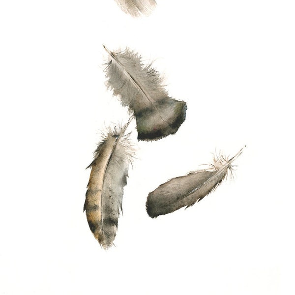 watercolor painting- nature art, feather art,Turkey Feathers No. 2 Archival print