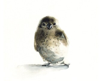 bird watercolor etsy