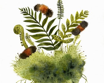 Woolly Bears and Ferns - nature art, ferns, caterpillars and ferns -Archival Print of original watercolor painting