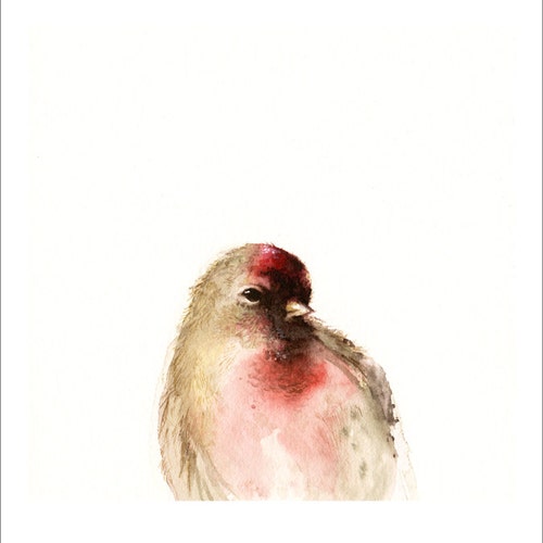 Red- Male Redpoll Archival print of watercolor, bird art, nature, woodland
