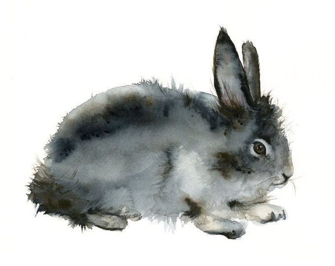 Roughian Rabbit Art - Etsy
