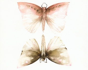 Pink and Mocha Moths-Print of watercolor