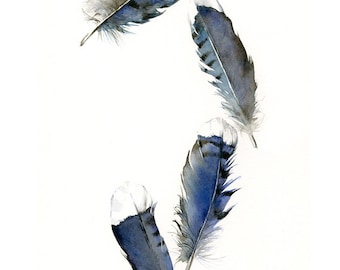 Blue Jay Feather Art Etsy Blue Jay Feather Art Etsy