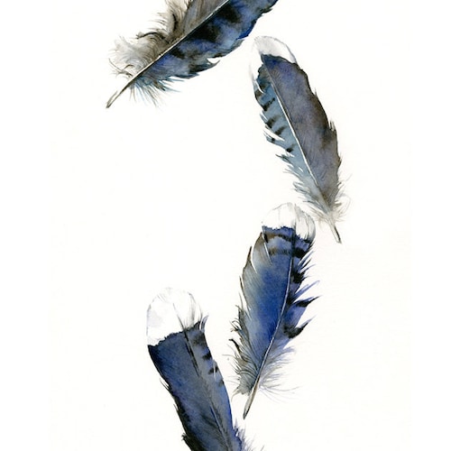 feather painting- print - watercolor feathers, feather art -Blue Jay Feathers -