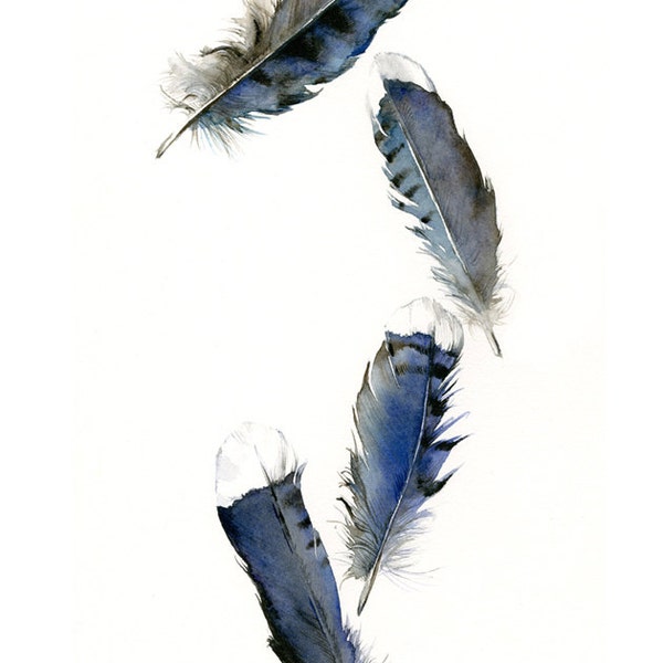 feather painting- print - watercolor feathers, feather art -Blue Jay Feathers -