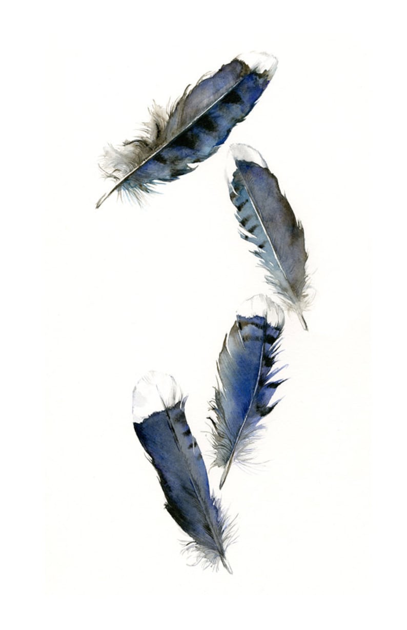 Feather Painting Print Watercolor Feathers Feather Art Etsy