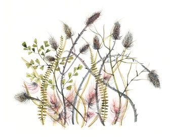 Thistles - print of original watercolor