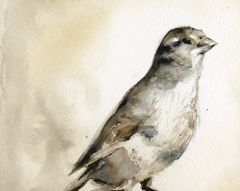 Sparrow. Bird Art-sepia, autumn, earth tones, home decor