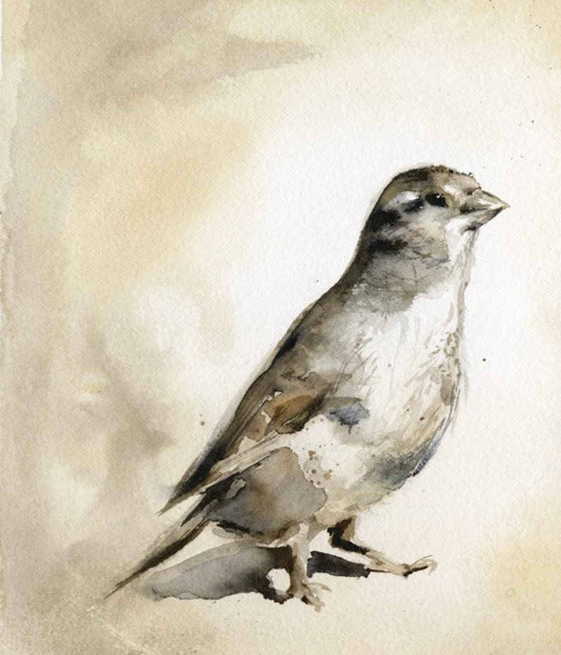 Sparrow. Bird Art-sepia, autumn, earth tones, home decor image 1