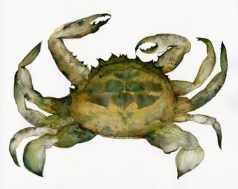 Crab Watercolor- Archival print, Nautical art, beach, ocean