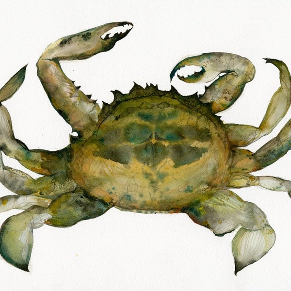 Crab Watercolor- Archival print, Nautical art, beach, ocean