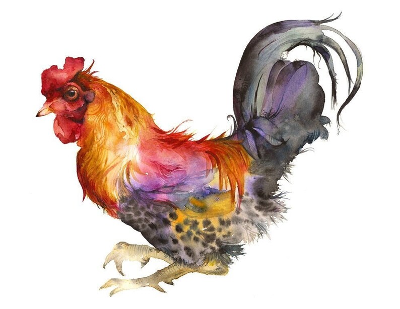 Rooster in Magenta and Gold archival print afbeelding 1