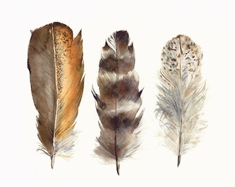 Chicken Feathers archival Art print of Original watercolor