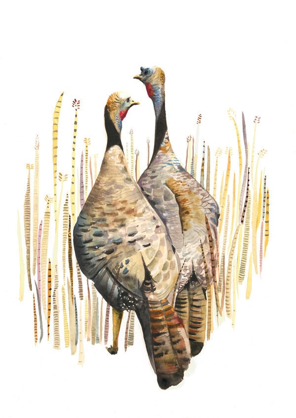 Wild Turkey, Nature Art, Bird Art, Watercolor Print- Wild Turkeys in …