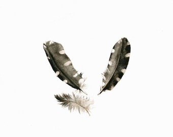 feather watercolor print - Woodpecker Feathers- archival print, minimalist, white, black and white, grey