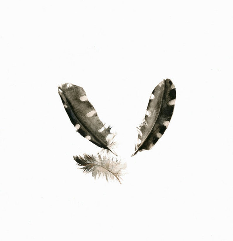 feather watercolor print Woodpecker Feathers archival print, minimalist, white, black and white, grey image 1