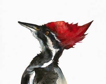 Pileated Woodpecker watercolor painting-Archival print- Woodpecker art